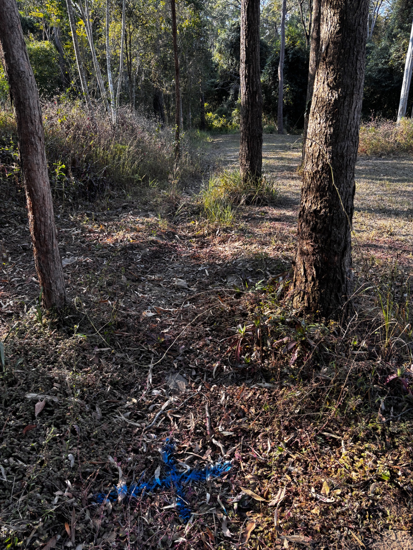 Fencing before