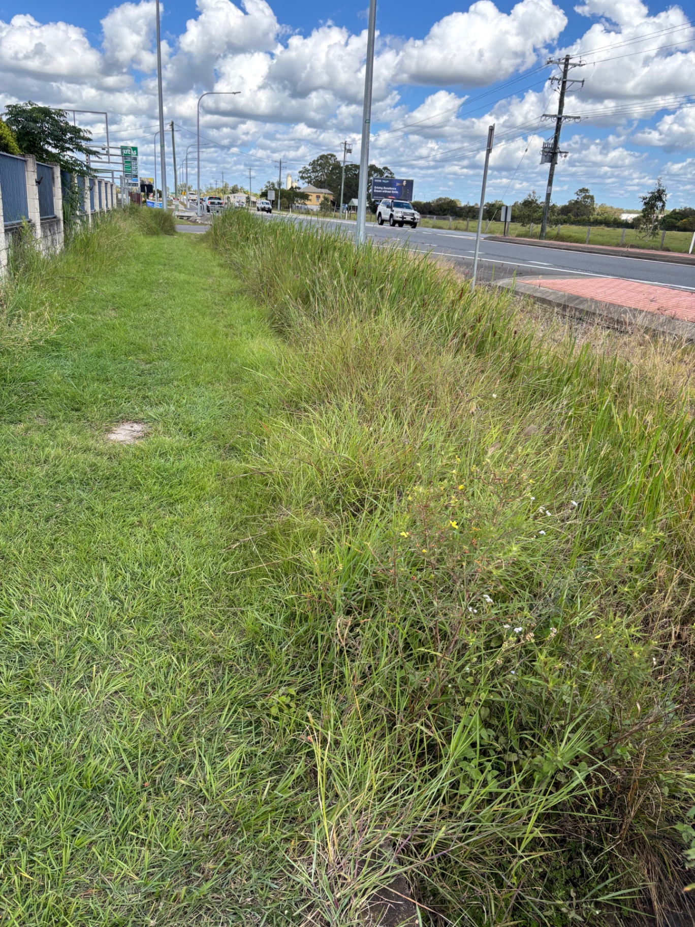 Roadside Verge Mow — before