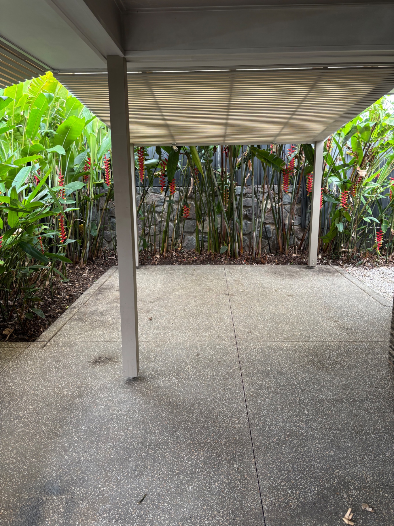 Tropical Garden Clean-Up — after