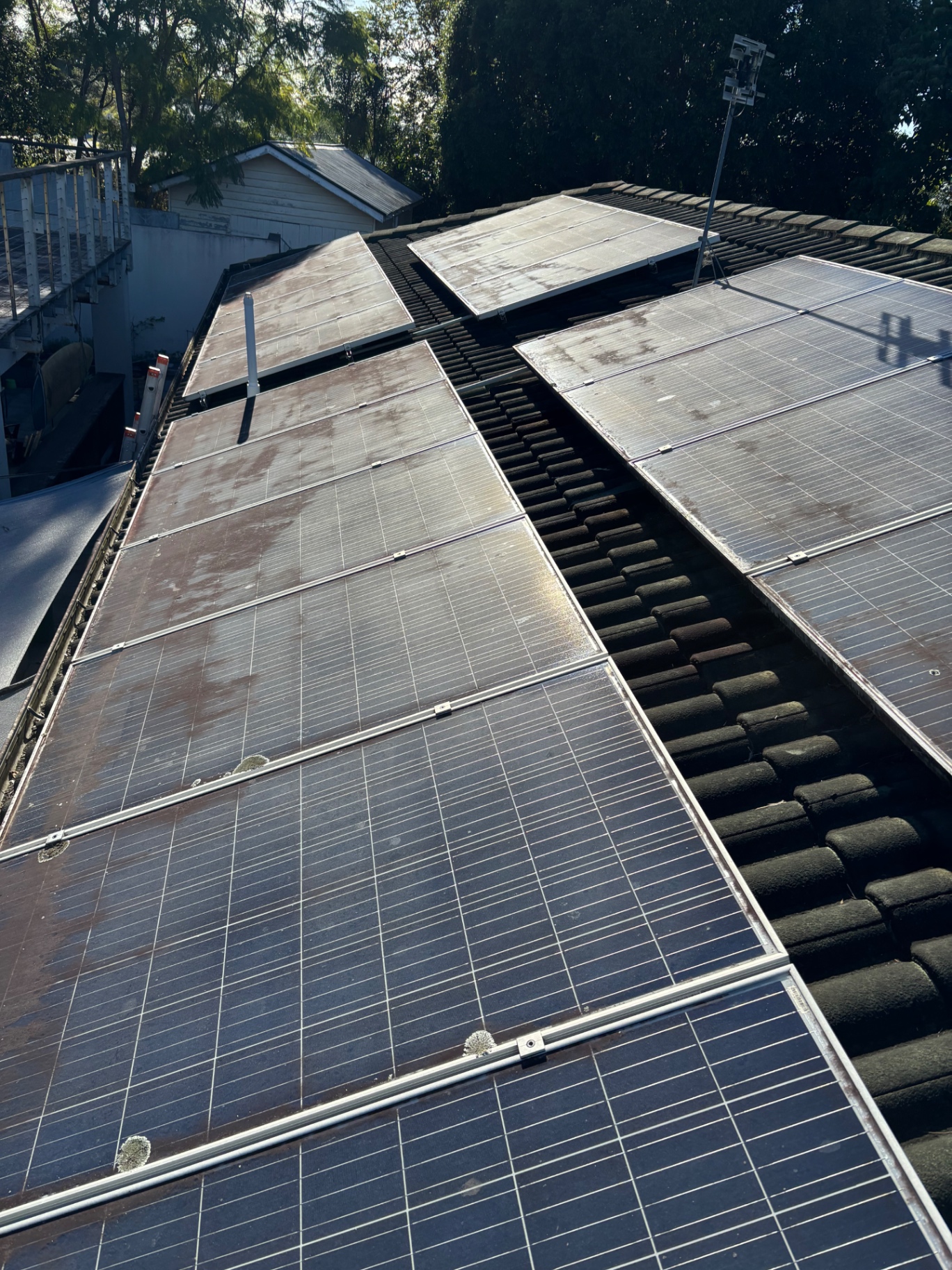 Solar Panel Cleaning — before