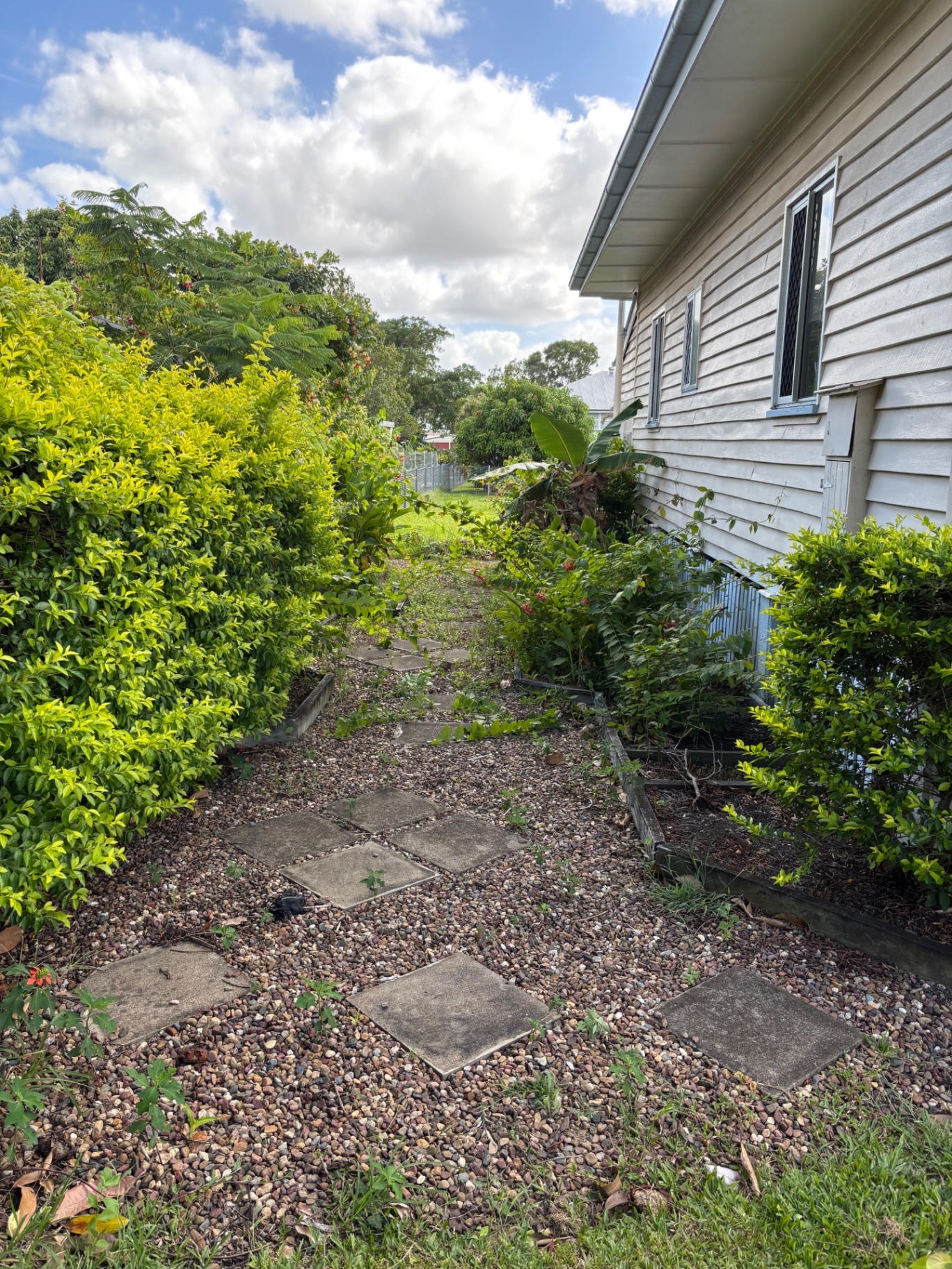 Residential Yard Clean Ups — before