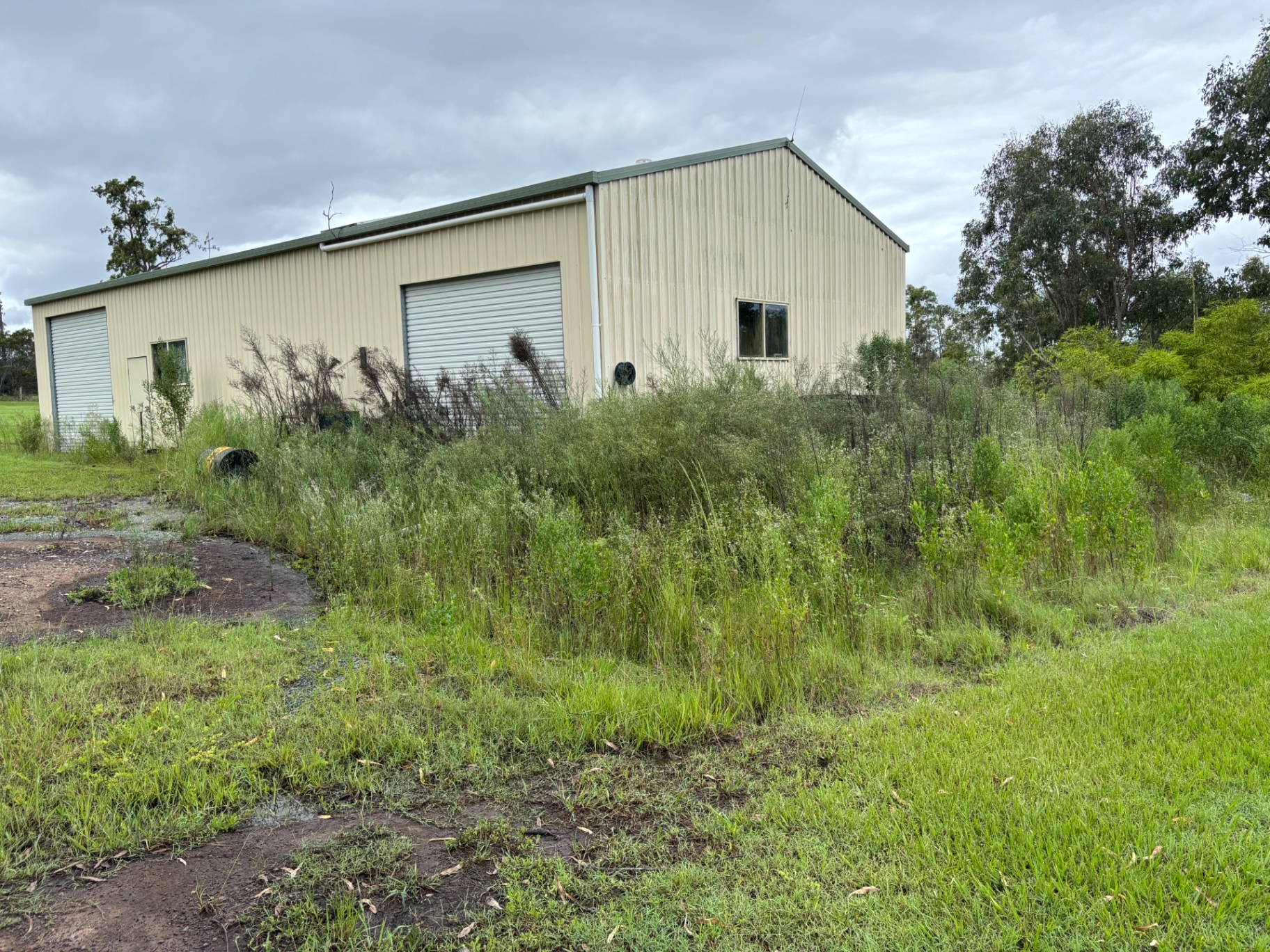 Acreage Clean ups — before